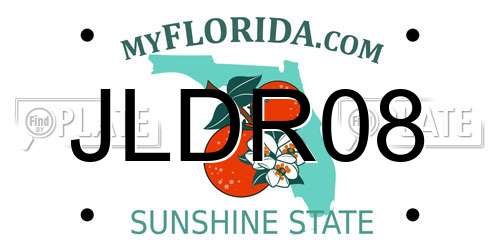 JLDR08 Florida License Plate