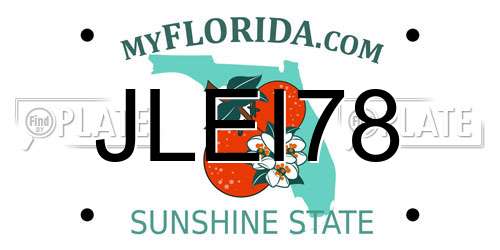 JLEI78 Florida License Plate