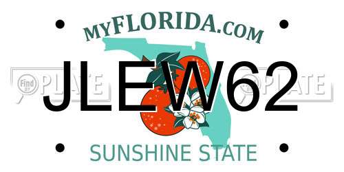 JLEW62 Florida License Plate
