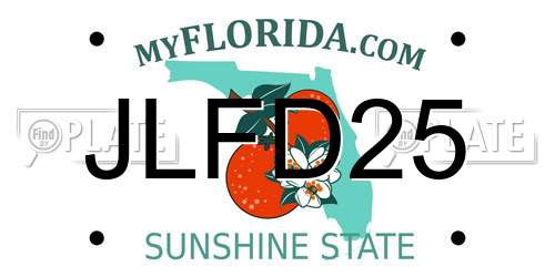 JLFD25 Florida License Plate