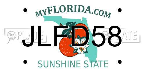 JLFD58 Florida License Plate