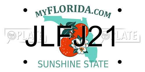 JLFJ21 Florida License Plate