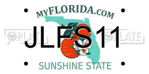 JLFS11 Florida License Plate