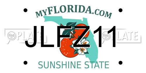 JLFZ11 Florida License Plate