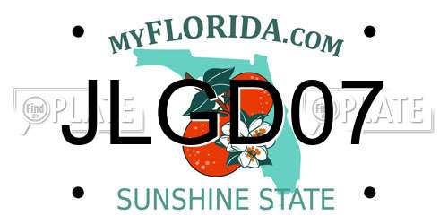 JLGD07 Florida License Plate