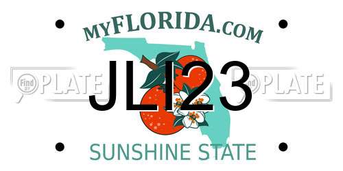 JLI23 Florida License Plate