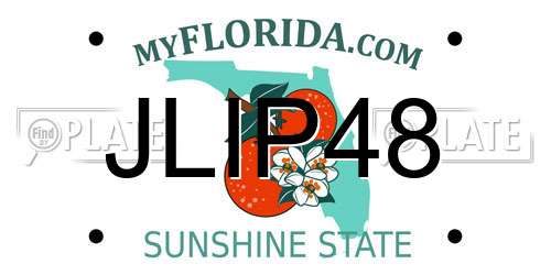 JLIP48 Florida License Plate