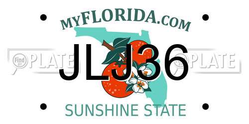 JLJ36 Florida License Plate