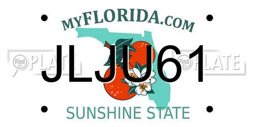 JLJU61 Florida License Plate