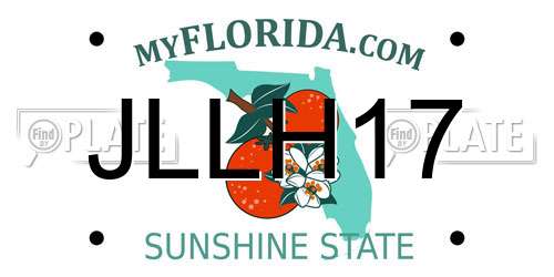 JLLH17 Florida License Plate
