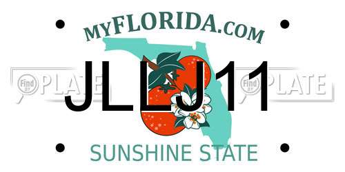 JLLJ11 Florida License Plate