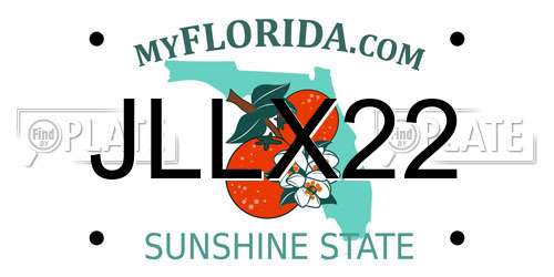 JLLX22 Florida License Plate