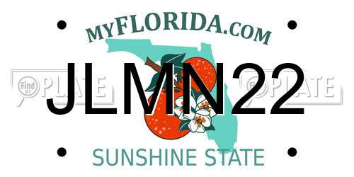 JLMN22 Florida License Plate