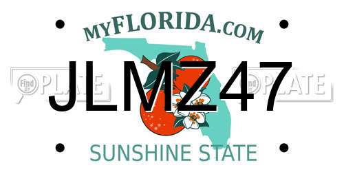 JLMZ47 Florida License Plate