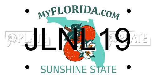 JLNL19 Florida License Plate