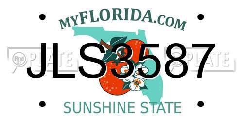 JLS3587 Florida License Plate
