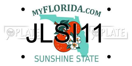 JLSI11 Florida License Plate