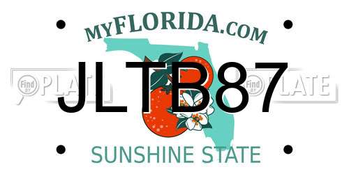 JLTB87 Florida License Plate