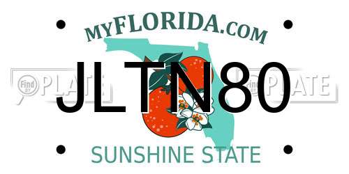 JLTN80 Florida License Plate