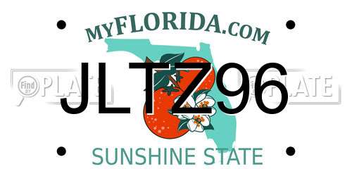 JLTZ96 Florida License Plate