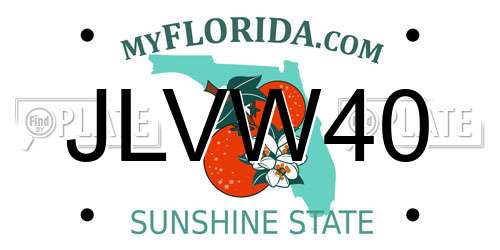 JLVW40 Florida License Plate