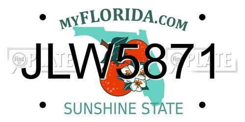 JLW5871 Florida License Plate