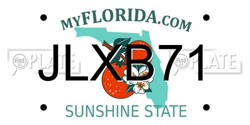 JLXB71 Florida License Plate