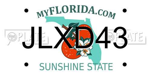 JLXD43 Florida License Plate