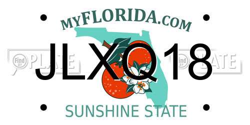 JLXQ18 Florida License Plate