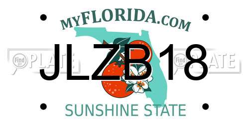 JLZB18 Florida License Plate