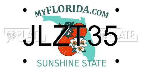JLZT35 Florida License Plate