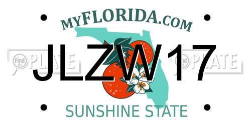 JLZW17 Florida License Plate