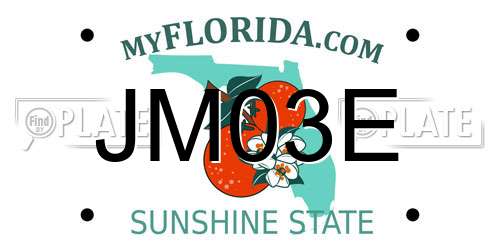 JM03E Florida License Plate