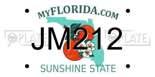 JM212 Florida License Plate