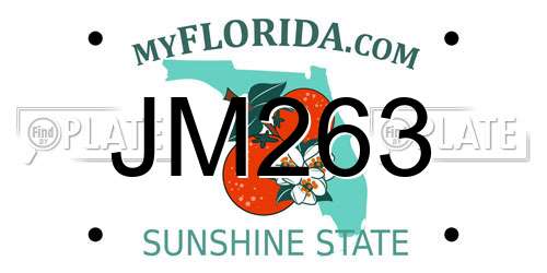 JM263 Florida License Plate