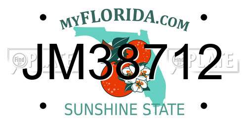 JM38712 Florida License Plate