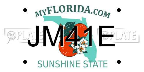 JM41E Florida License Plate