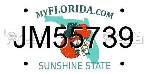 JM55739 Florida License Plate