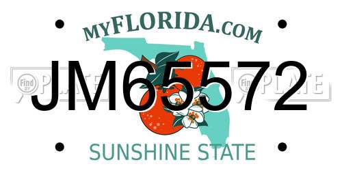 JM65572 Florida License Plate