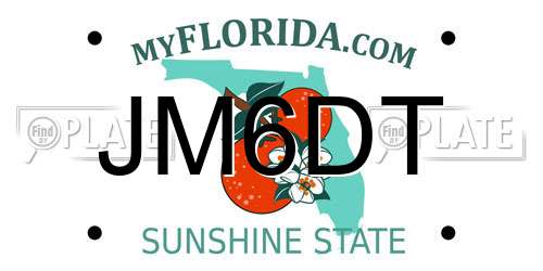 JM6DT Florida License Plate