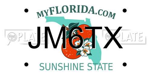 JM6TX Florida License Plate