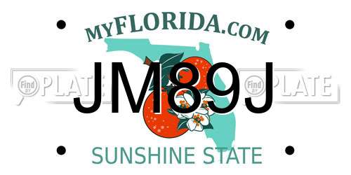 JM89J Florida License Plate