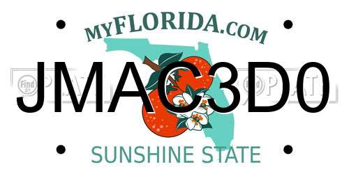 JMAC3D0 Florida License Plate