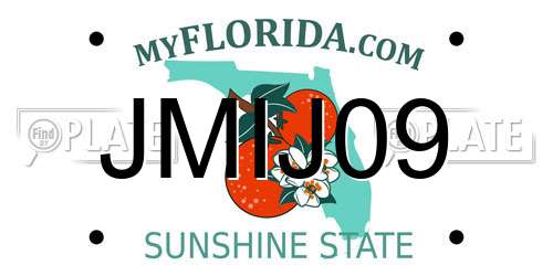 JMIJ09 Florida License Plate