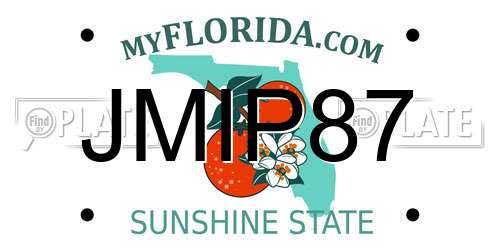 JMIP87 Florida License Plate