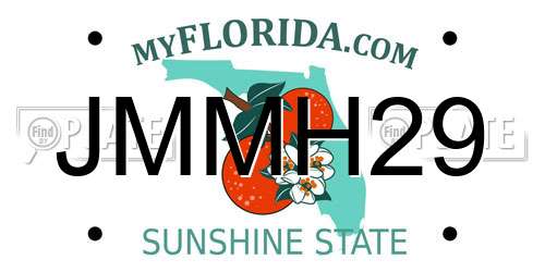 JMMH29 Florida License Plate