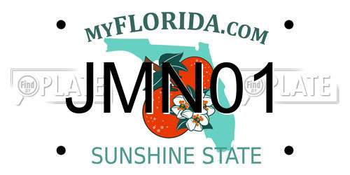 JMN01 Florida License Plate