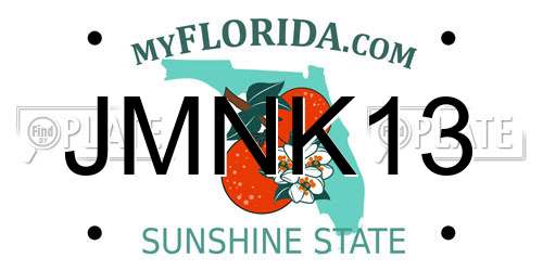 JMNK13 Florida License Plate