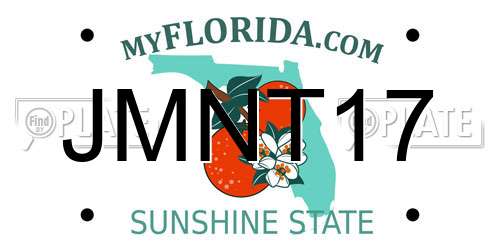 JMNT17 Florida License Plate