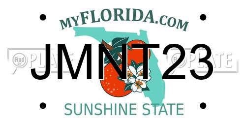 JMNT23 Florida License Plate